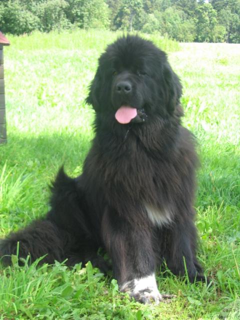 Фотография № 15974