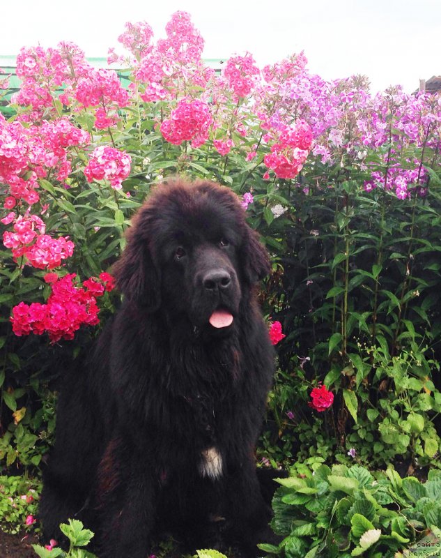 Фотография № 159800