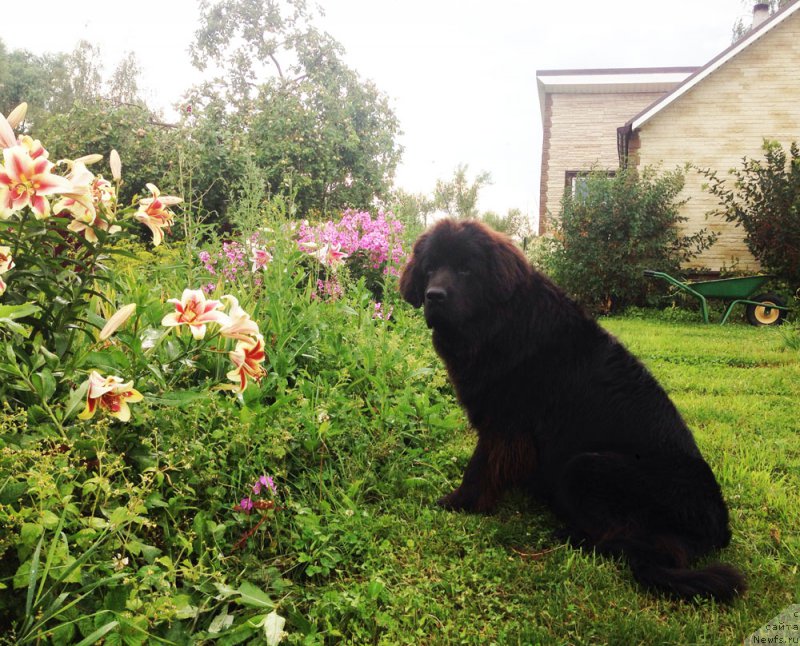 Фотография № 159801