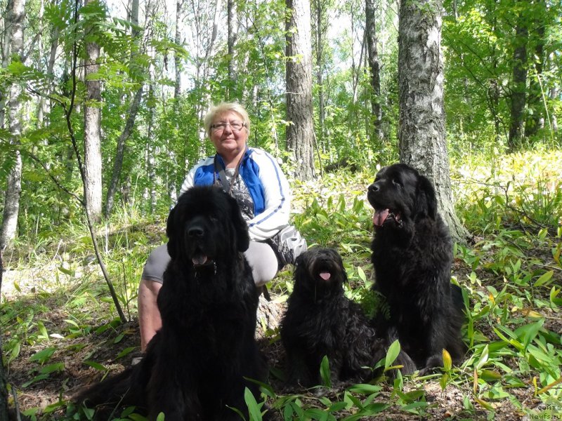 Фото: ньюфаундленд Akin Soul Sofiya (Акин Соул София), ньюфаундленд Lesnaya Skazka Lunnaya Sonata (Лесная Сказка Лунная Соната), Tat'yana Prusova (Татьяна Прусова)