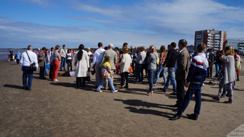 Фотография № 159824