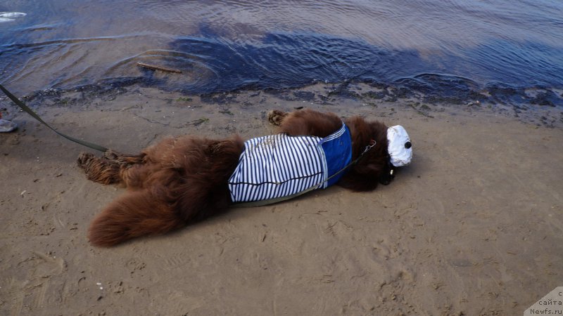 Фотография № 159827