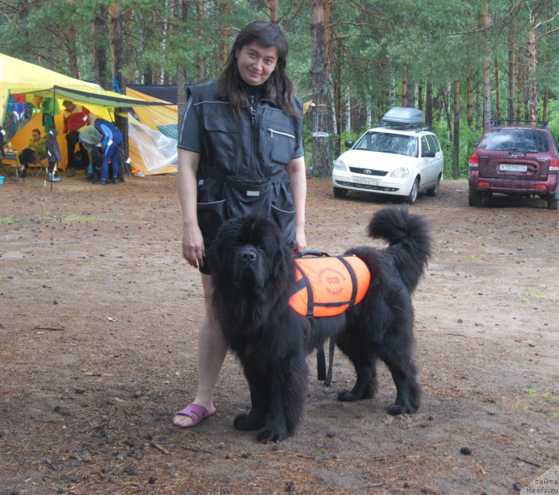 Фотография № 159834