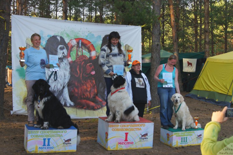 Фотография № 159836