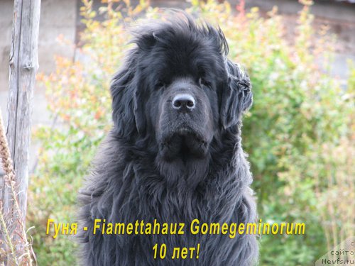 Фотография № 159923