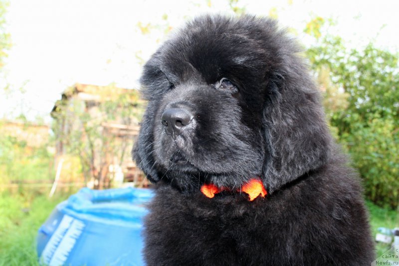 Фотография № 159937