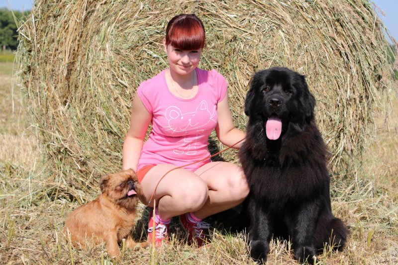 Фотография № 159959