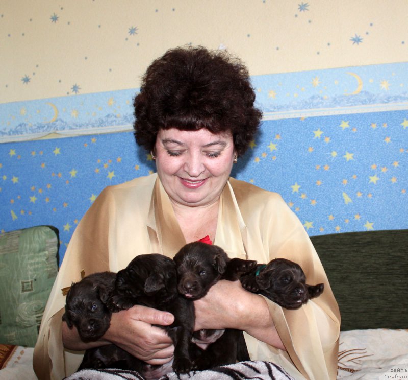 Фотография № 160028