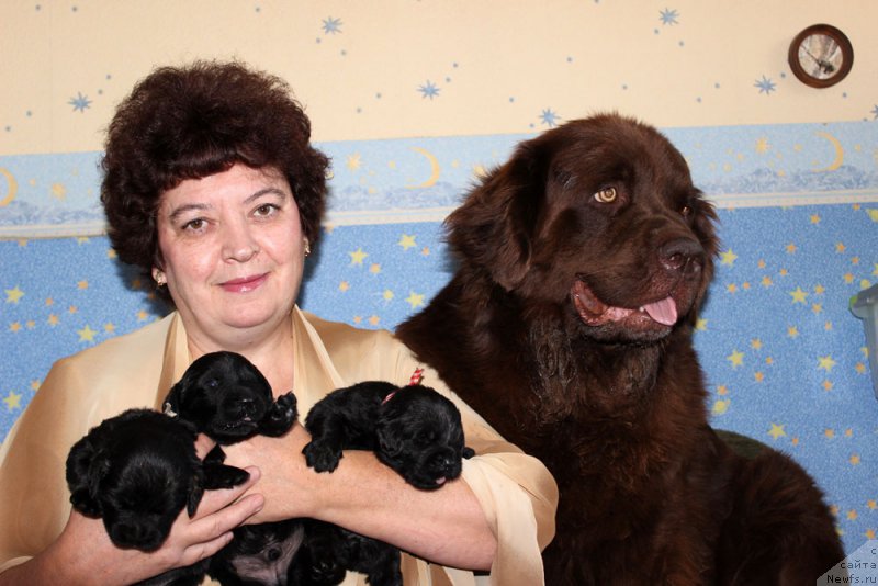 Фотография № 160030