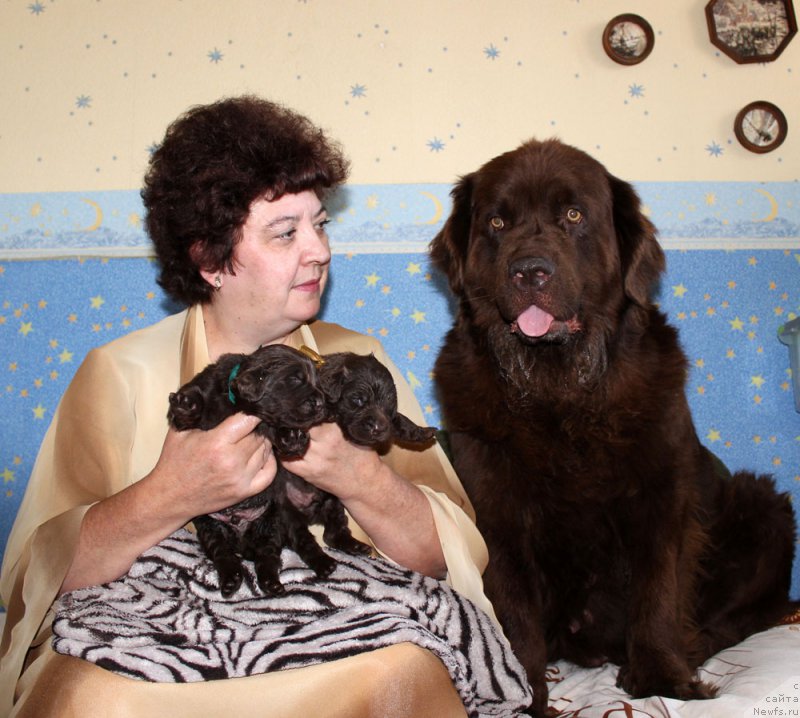 Фотография № 160032