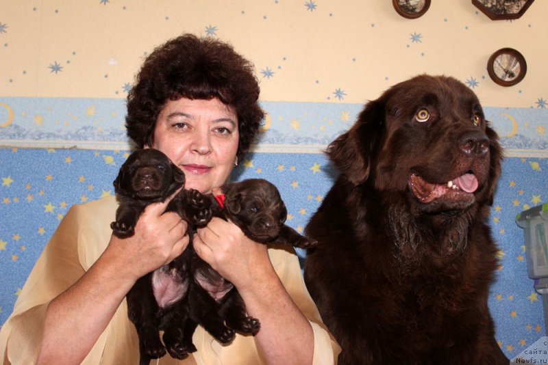 Фотография № 160033