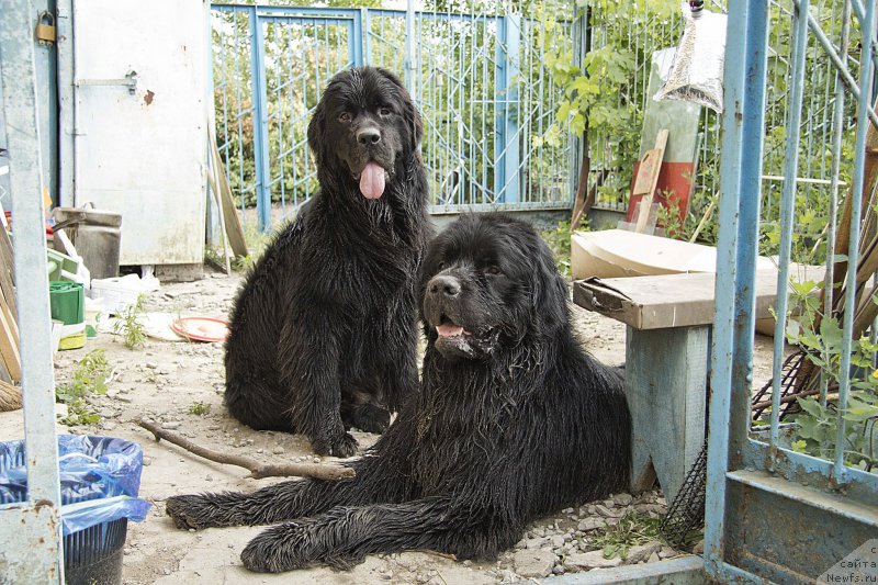 Фотография № 160173