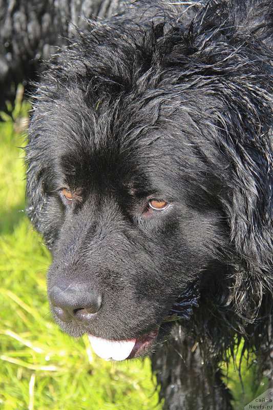 Фотография № 160176