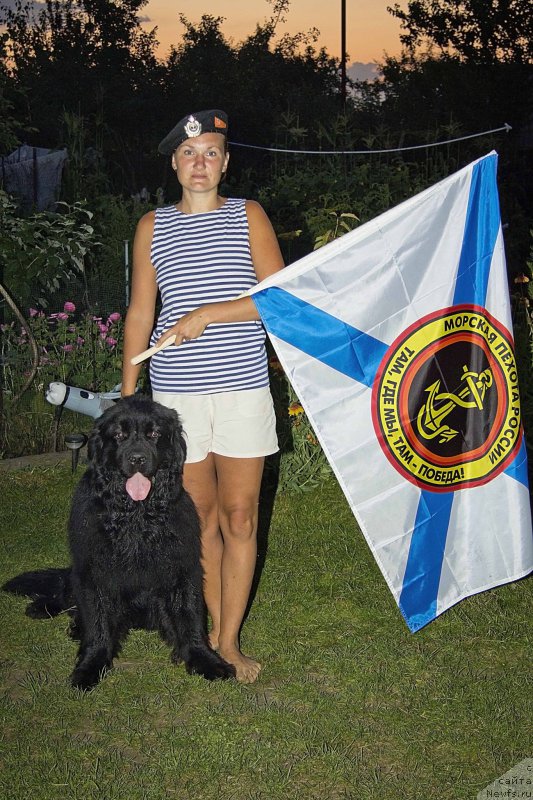 Фотография № 160181