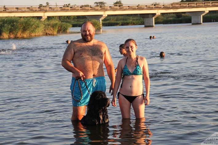Фото: ньюфаундленд Chernyj Chank s Berega Dona (Черный Чанк с Берега Дона), Kiril Ermakov (Кирил Ермаков), Irina Skladnova (Ирина Складнова)