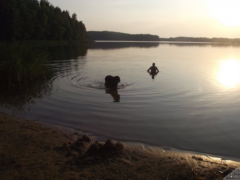 Фотография № 160200