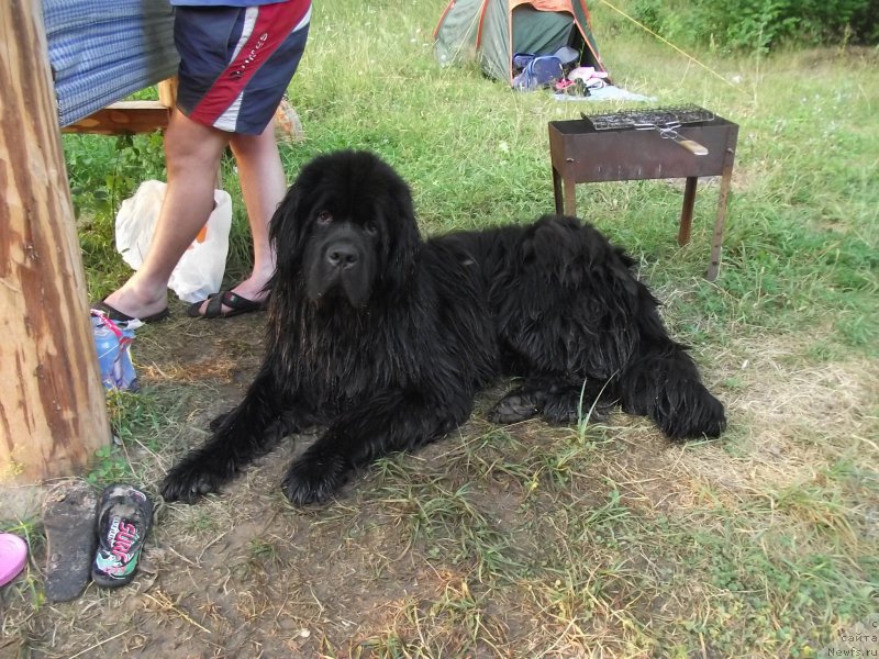 Фотография № 160202