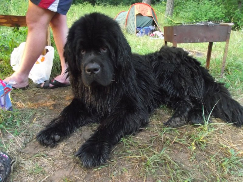 Фотография № 160203