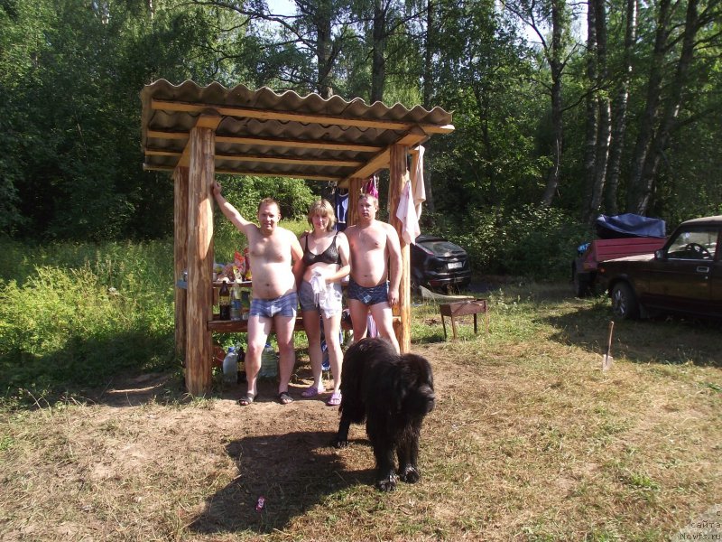 Фотография № 160210