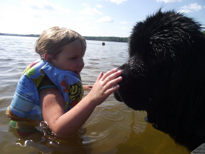 Фотография № 160215