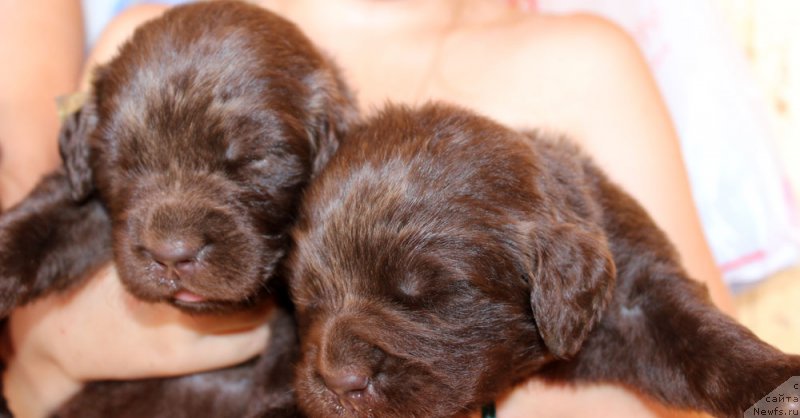 Фотография № 160220