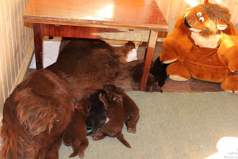 Фотография № 160221