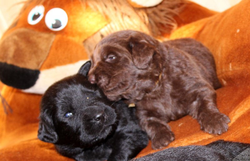 Фотография № 160223