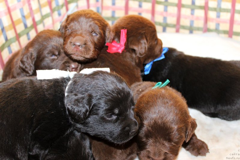 Фотография № 160225