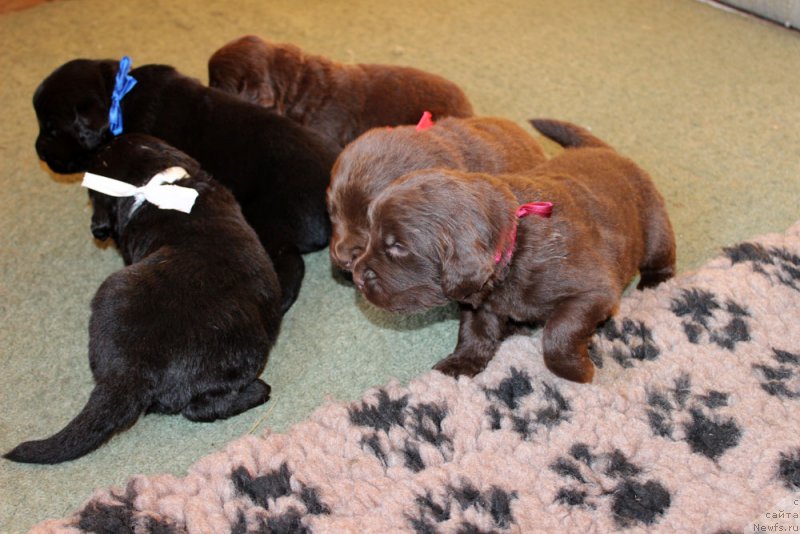 Фотография № 160226