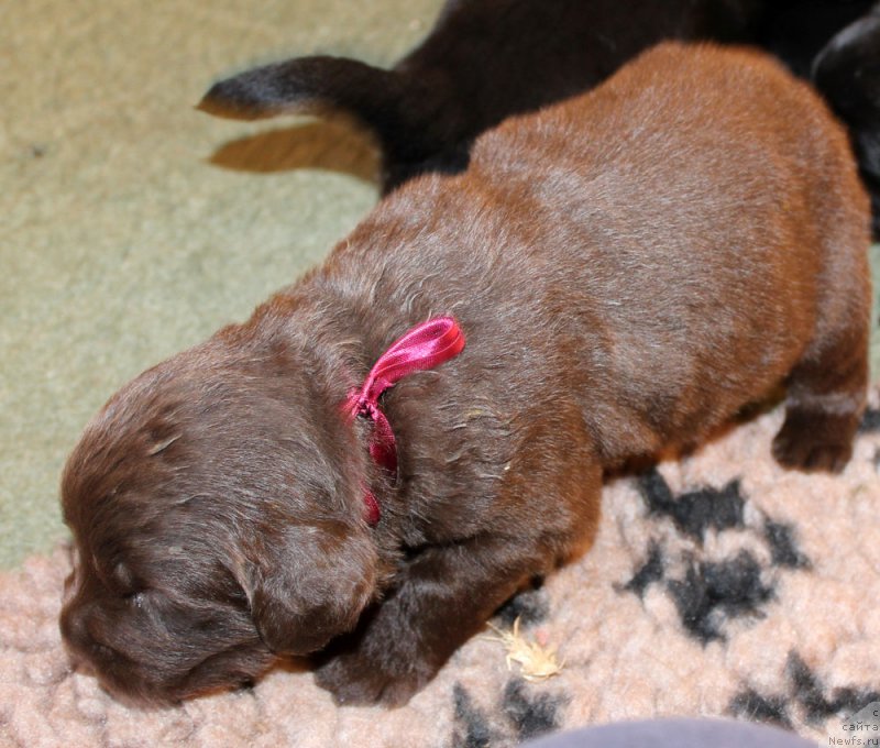 Фотография № 160227