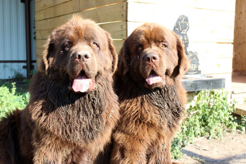 Фотография № 160232