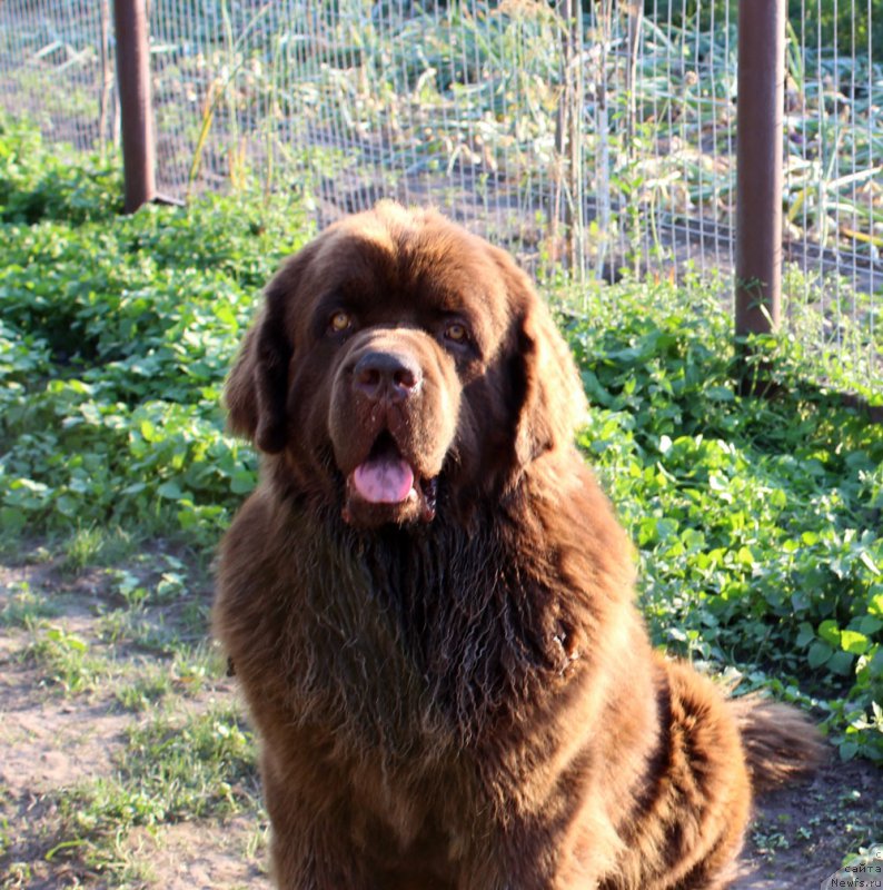 Фотография № 160242