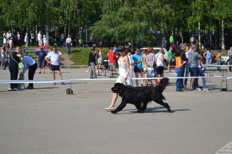 Фотография № 160277