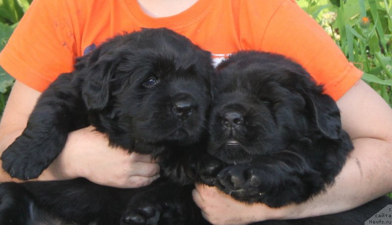 Фотография № 160288