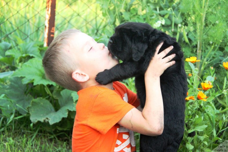 Фотография № 160296