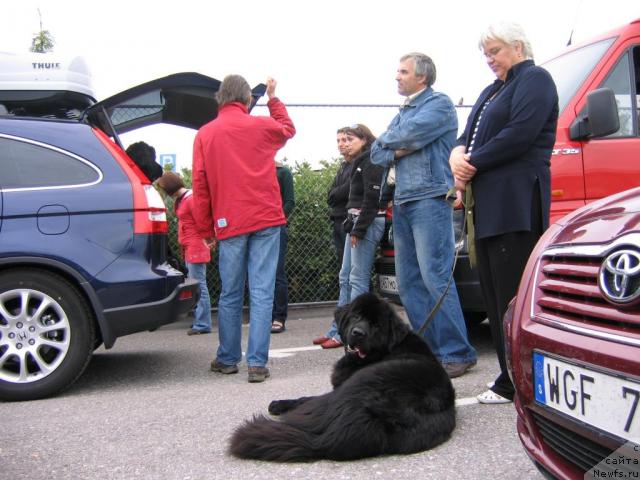 Фотография № 16032