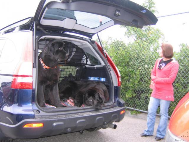 Фотография № 16033