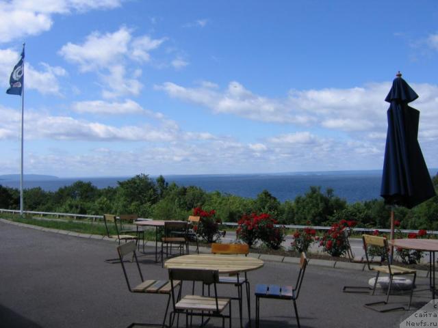 Фотография № 16035