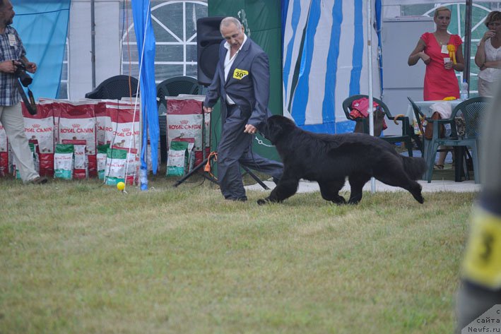 Фотография № 160356