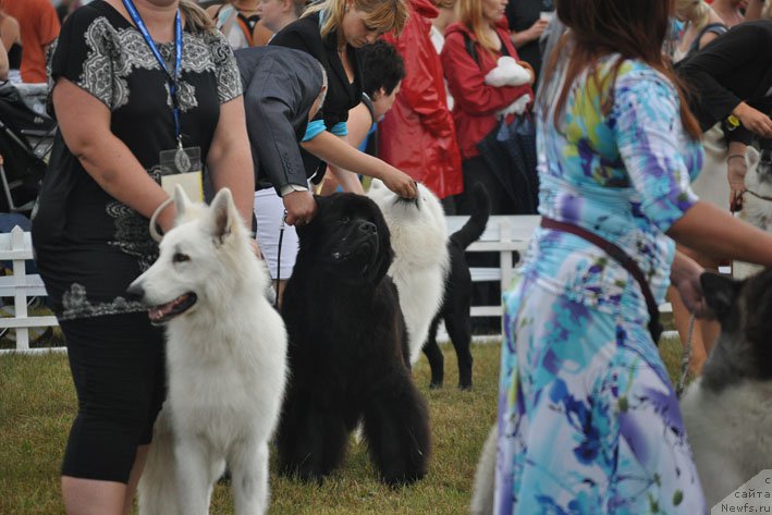 Фотография № 160358