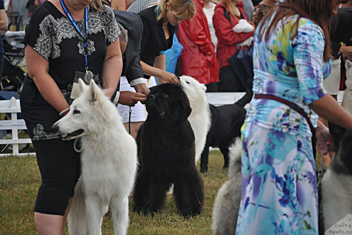 Фотография № 160359