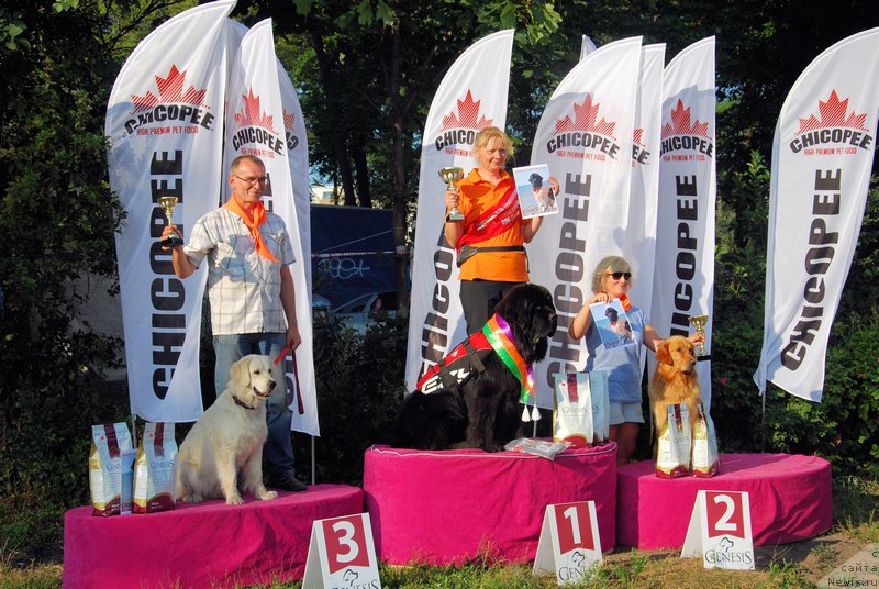 Фотография № 160366