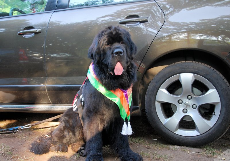 Фотография № 160369