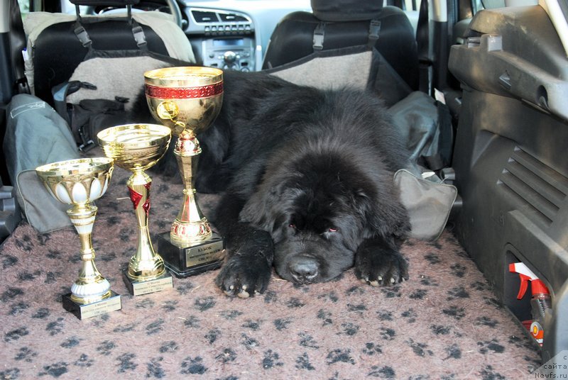 Фотография № 160370