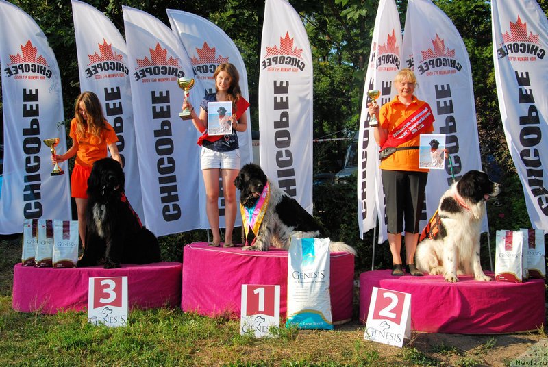 Фотография № 160372