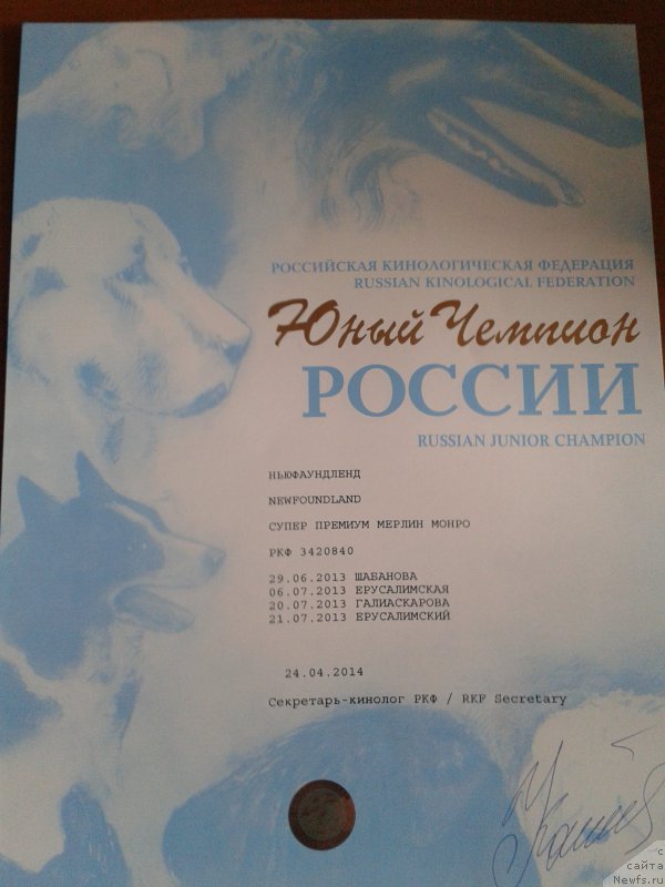 Фотография № 160384