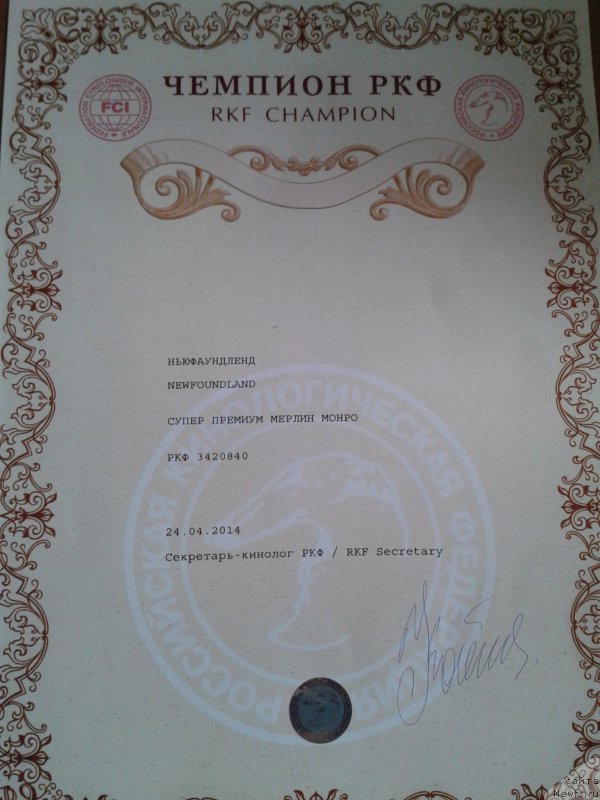 Фотография № 160385