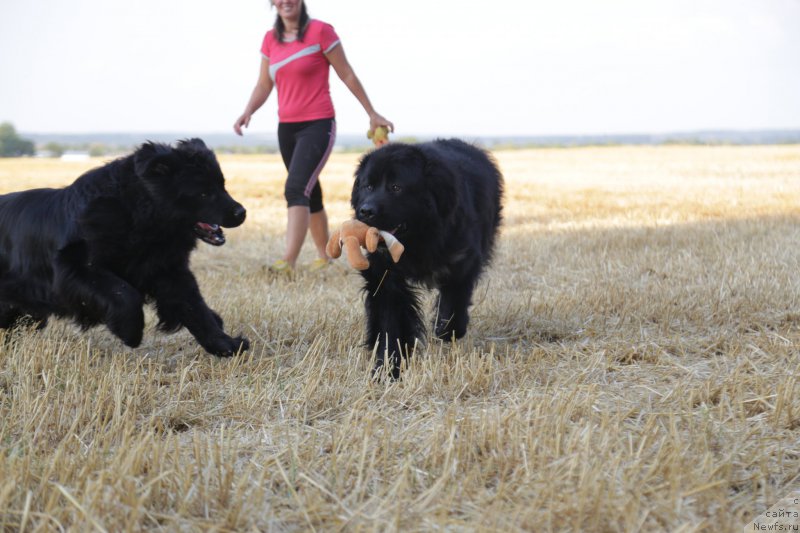 Фотография № 160418