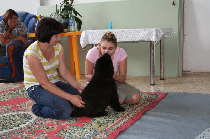 Фото: [p1972] и, Svetlana Vasil'chuk (Светлана Васильчук)