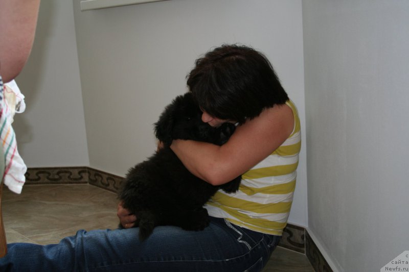 Фото: Svetlana Vasil'chuk (Светлана Васильчук)